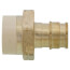 1/2" CPVC x 1/2" Expansion PEX Straight Adapter (Lead Free)
