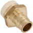 3/4" CPVC x 3/4" Expansion PEX Straight Adapter (Lead Free)