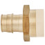 3/4" CPVC x 3/4" Expansion PEX Straight Adapter (Lead Free)