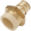 3/4" CPVC x 3/4" Expansion PEX Straight Adapter (Lead Free)