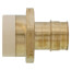 1" CPVC x 1" Expansion PEX Straight Adapter (Lead Free)