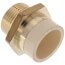 1" CPVC x MIP Brass Straight Adapter (Lead Free)