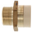 1" CPVC x MIP Brass Straight Adapter (Lead Free)