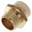 1" CPVC x MIP Brass Straight Adapter (Lead Free)