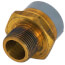 2" CPVC x MIP Brass Straight Adapter (Lead Free)