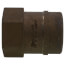 1-1/4" CPVC x FIP Brass Straight Adapter (Lead Free)