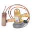 100679-38 Valve-exp 94+2psig