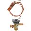 100679-38 Valve-exp 94+2psig, 64W49