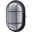 20W LED Bulk Head Fixture Black Finish