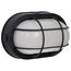 20W LED Bulk Head Fixture Black Finish