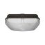 LED Canopy Fixture 40W 5000K 120-277V