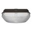 LED Canopy Fixture 40W 4000K 120-277V