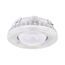 LED Canopy Fixture 100 Watt CCT Selectable White Finish 100-277 Volt