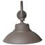 LED Gooseneck 30W/40W/50W CCT Selectable 3K/4K/5K Bronze 120-277V w/ Photocell
