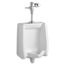 Washbrook Urinal System w/ Manual Piston Flush Valve, 1.0 gpf/3.8 Lpf (White)
