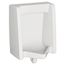 Washbrook 0.125 -1.0 gpf (0.47 - 3.8 Lpf) Back Spud Urinal (White)