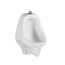 Allbrook 0.5 - 1.0 gpf (1.9 - 3.8 Lpf) Top Spud Siphon Jet Urinal