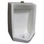 Lynbrook 1.0 gpf/3.8 Lpf Top Spud Blowout Urinal (White)