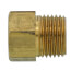 Natural Gas Main Orifice, 661020R