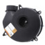 Draft Inducer (1 Speed, 115V, 3300 RPM)