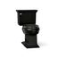Memoirs Stately Two-Piece Elongated w/ Concealed Trapway, 1.28 Gpf (Black), K-6669-7