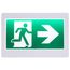 Running Man Green Exit Sign, 120-347V, 2HR backup, Single/Dual Face, Universal Mounting, Thermoplastic