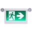 Running Man Green Combo Exit Sign/Emergency Light, 120-347V, 2HR backup, Single/Dual Face, Universal Mounting, Thermoplastic, High Output lamps