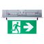 Running Man Green Edge Lit Exit Sign, 120-347V, 2HR backup, Single/Dual Face, Universal Surface or Recessed Mounting, Pivoting Panel