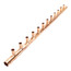 1-1/4" Male Sweat Copper Manifold w/ 3/4" Sweat Loops (12 Outlets)