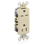 15A Decora Plus Duplex Receptacle/outlet, Commercial Grade, Self-grounding, Dual Vage