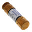 250V Dual Element Time Delay Fuse (20A)