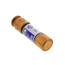 250V Dual Element Time Delay Fuse (30A)
