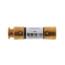 250V Dual Element Time Delay Fuse (30A)