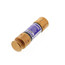 250V Dual Element Time Delay Fuse (30A)