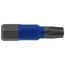 1" Torx T25 TerminatorBlue Impact Bit Box (20 Pack)