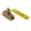 1/2" Standard Port Threaded Ball Valve (15 Cv)
