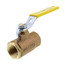1/2" Standard Port Threaded Ball Valve (15 Cv)
