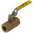 3/4" Standard Port Threaded Ball Valve w/ Auto Drain & Locking Handle (30 Cv)