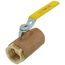 1" Standard Port Threaded Ball Valve (43 Cv)
