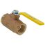 1" Standard Port Threaded Ball Valve (43 Cv)