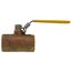 1" Standard Port Threaded Ball Valve w/ Auto Drain & Locking Handle (43 Cv)