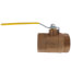2" Standard Port Threaded Ball Valve (108 Cv)