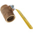 2-1/2" Standard Port Threaded Ball Valve (190 Cv)
