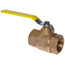 1/4" Standard Port Threaded Ball Valve w/ Steam Trim (8.4 Cv)