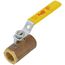 1/2" Standard Port Threaded Ball Valve w/ Steam Trim (15 Cv)