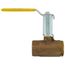1" FNPT 2-Piece Ball Valve w/ Stainless Steel Ball & 2-1/4" Stem