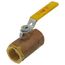 1" Standard Port Threaded Ball Valve w/ Steam Trim (43 Cv)