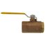 1" Standard Port Threaded Ball Valve w/ Steam Trim (43 Cv)