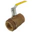 2-1/2" FNPT 2-Piece Ball Valve w/ Stainless Steel Ball & 2-1/4" Stem