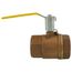 2-1/2" FNPT 2-Piece Ball Valve w/ Stainless Steel Ball & 2-1/4" Stem
